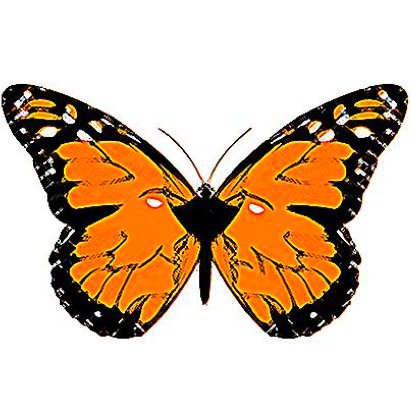 MONARCA bipolar butterfly
